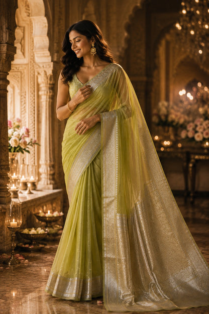 Aanchal- Pure Organza Silk saree